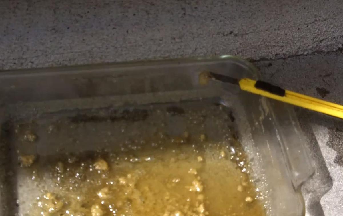 ‘Ear Wax’ Marijuana: High Concentration of THC Worries Officials