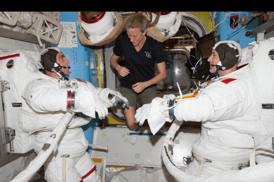 Spacewalk Live-Stream Video