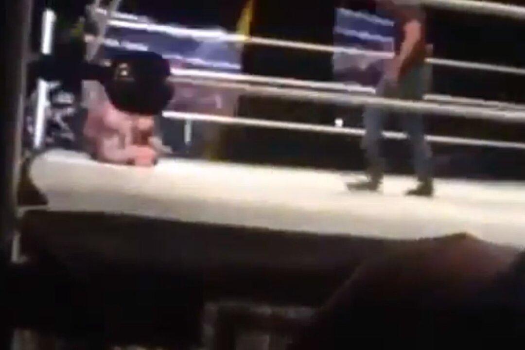 Randy Orton Attacked: WWE Wrestler Hit by Fan in S. Africa (+Video)