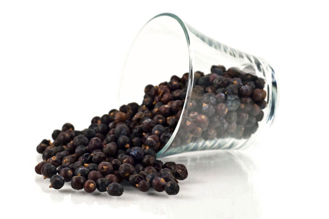 Uses of Juniper From Plague Antidote to Martini Mix