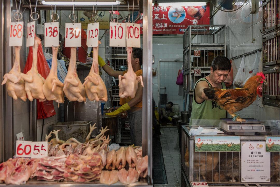 New Chinese Bird Flu May Be Worse Than H7N9 Virus