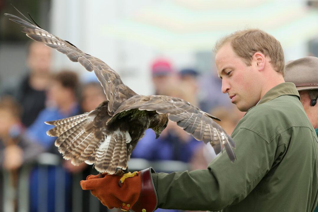 Prince William Will Need New Ideas to Tackle Wildlife Crisis
