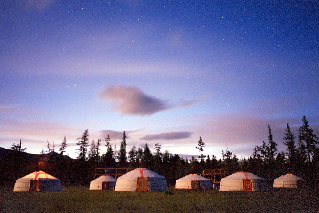 Starry Nights in Mongolia