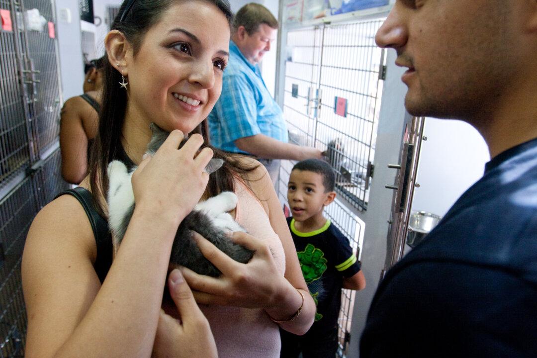 NY Environment Enthusiasts Reach Out to the Public