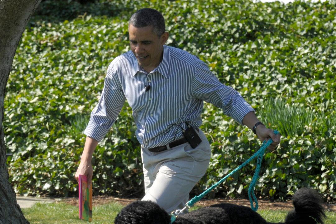 10 Presidential Pets, Including New Obama Puppy, Sunny