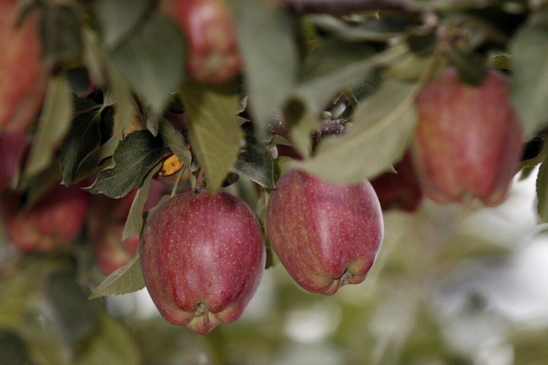 10 Foods Surprisingly High in Sugar and Carbs