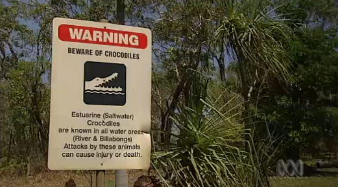 Crocodile Attack: Sean Cole Feared Dead After Swimming in Water Infested With Crocodiles