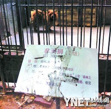 A Barking Lion in a Zoo? Only in China