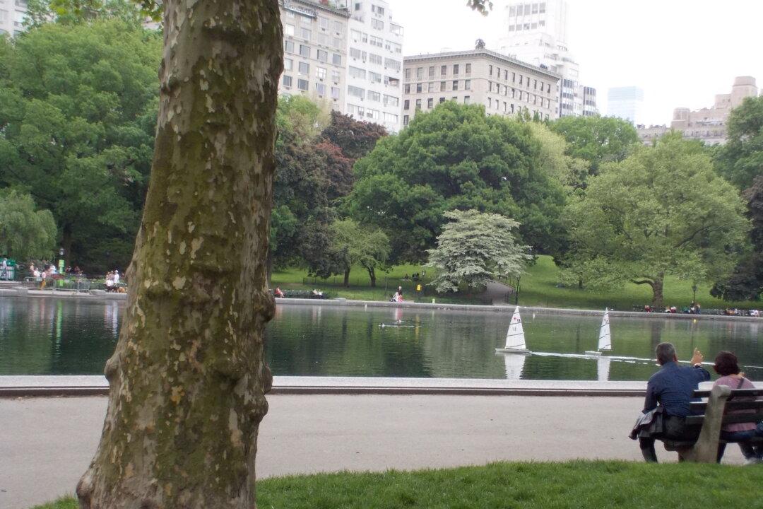 Central Park, Inside and Out