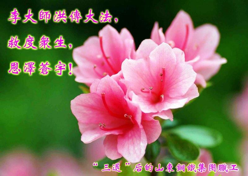 Moon Festival Greetings Express Gratitude and Freedom