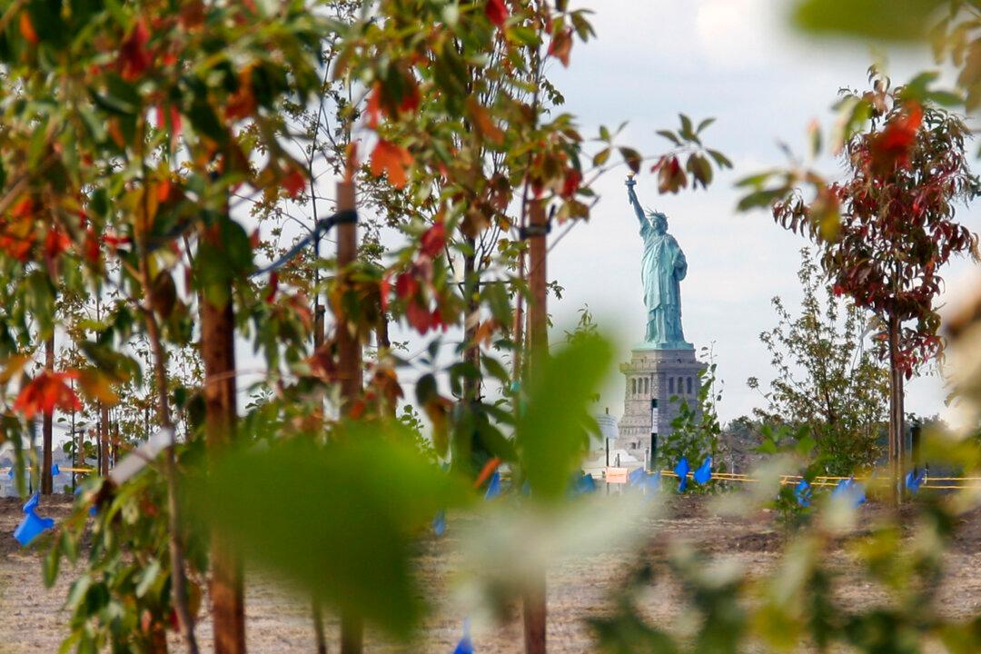 A Glimpse Into the Future of Governors Island