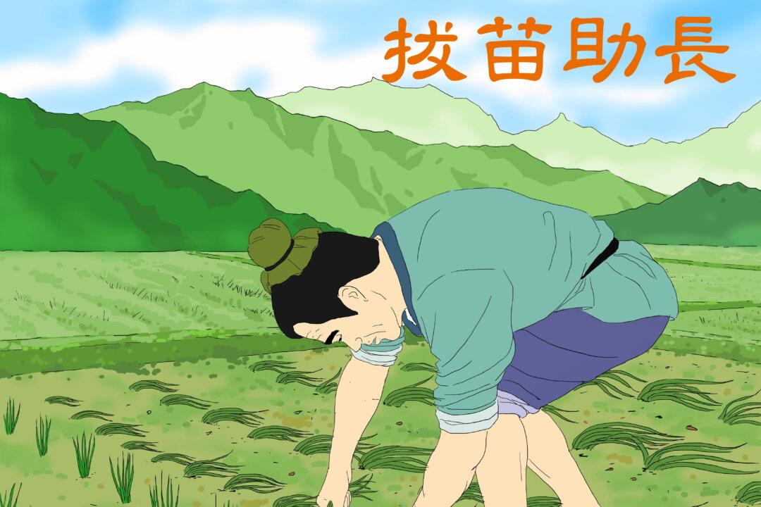 Pulling Up Seedlings to Help Them Grow (拔苗助長)