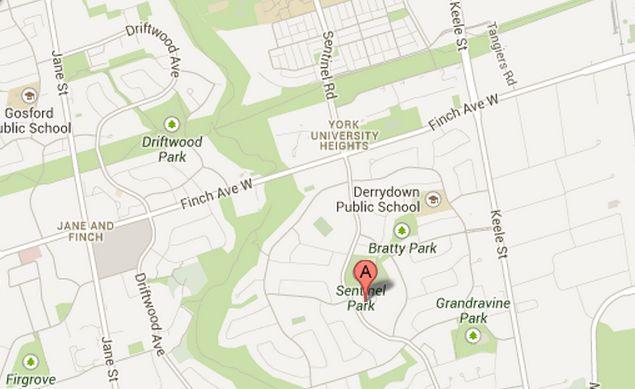 Violet Jia Liang Identified as Teen Killed by Truck in Toronto: ‘Fantastic Student’