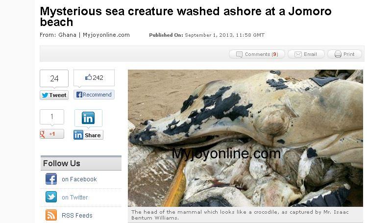 Ghana: Huge, Mysterious Mammal Appears on Asanta Beach in Jomoro District