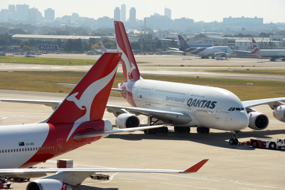 Snake on a Plane Causes Flight Delays