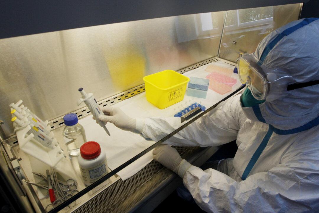 New Wave of H7N9 Bird Flu in China Could Signal Winter Epidemic