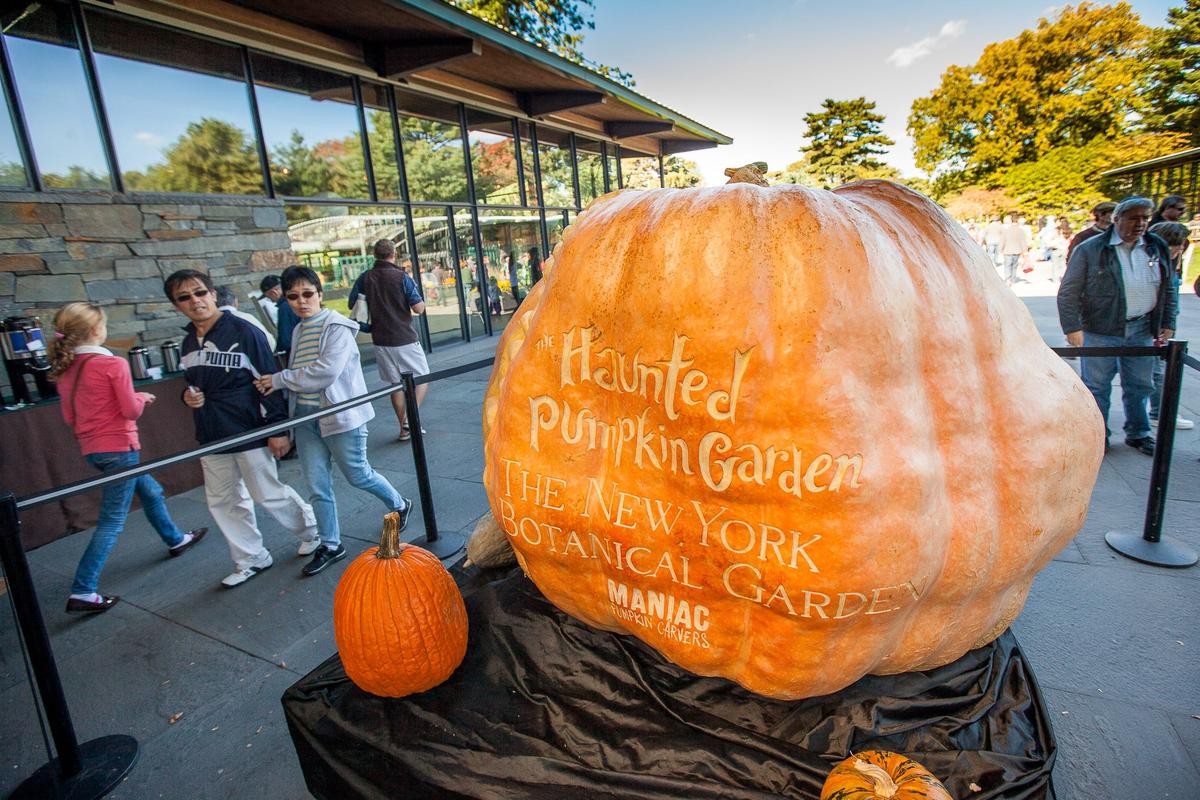 World’s Biggest Pumpkins Carved by the Best in NYC
