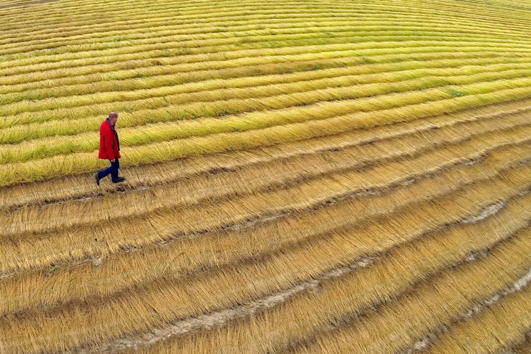 Our World in 7 Headlines: Oct. 13