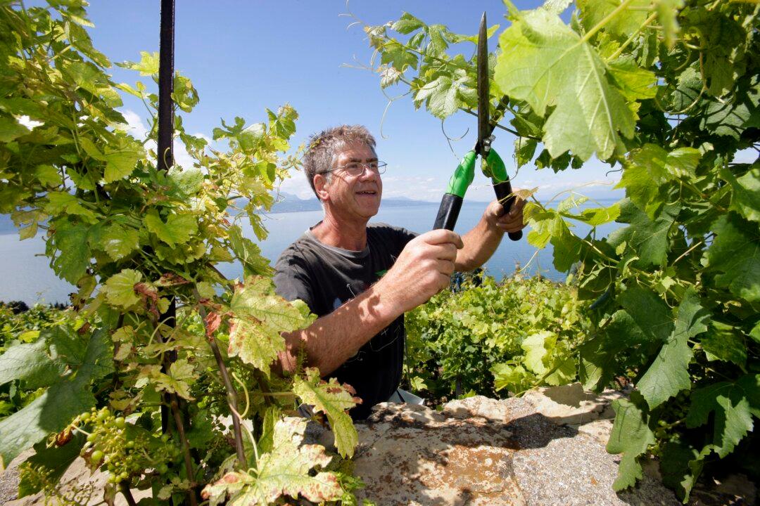 Our World in 7 Headlines: Oct. 30