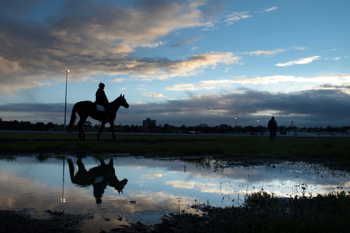 Melbourne Cup: Much More Than a Few Short Furlongs
