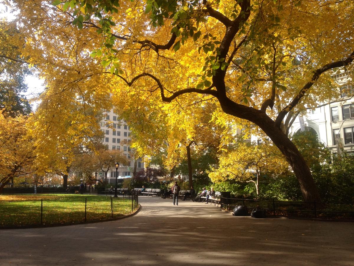 Recipes to Usher in the Fall