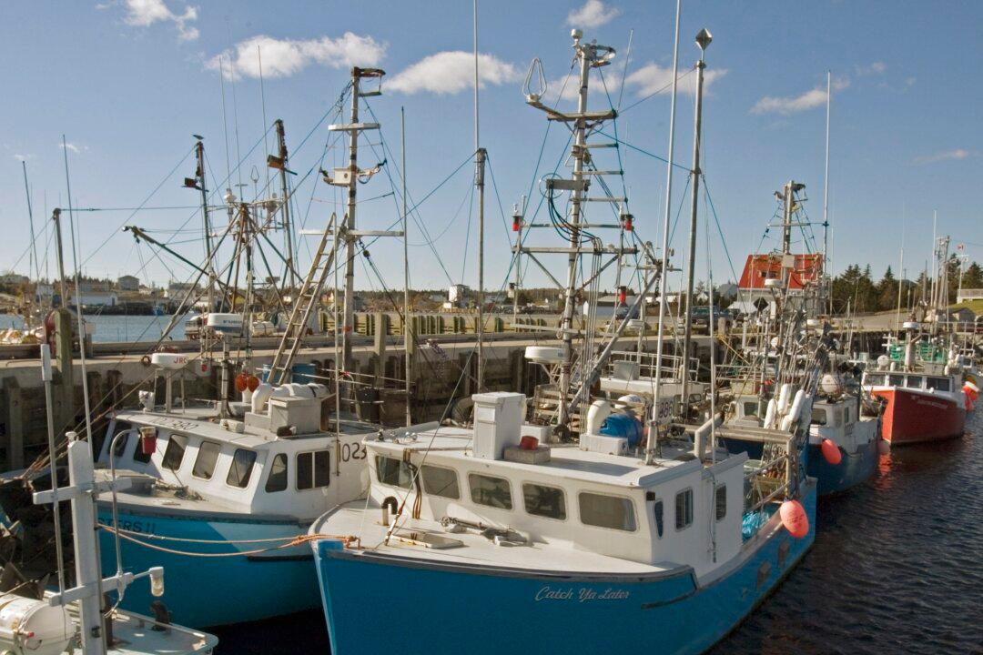 Canada at Risk of Losing World Leader Status on Ocean Science