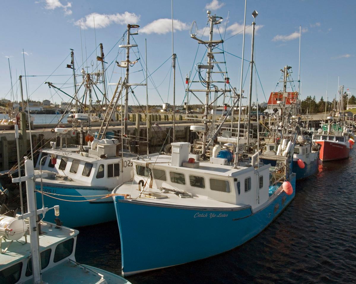 Canada at Risk of Losing World Leader Status on Ocean Science