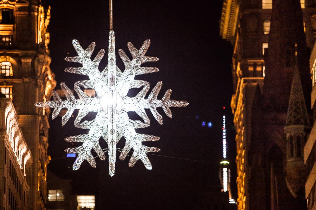 Snowflake Season Has Arrived in New York City