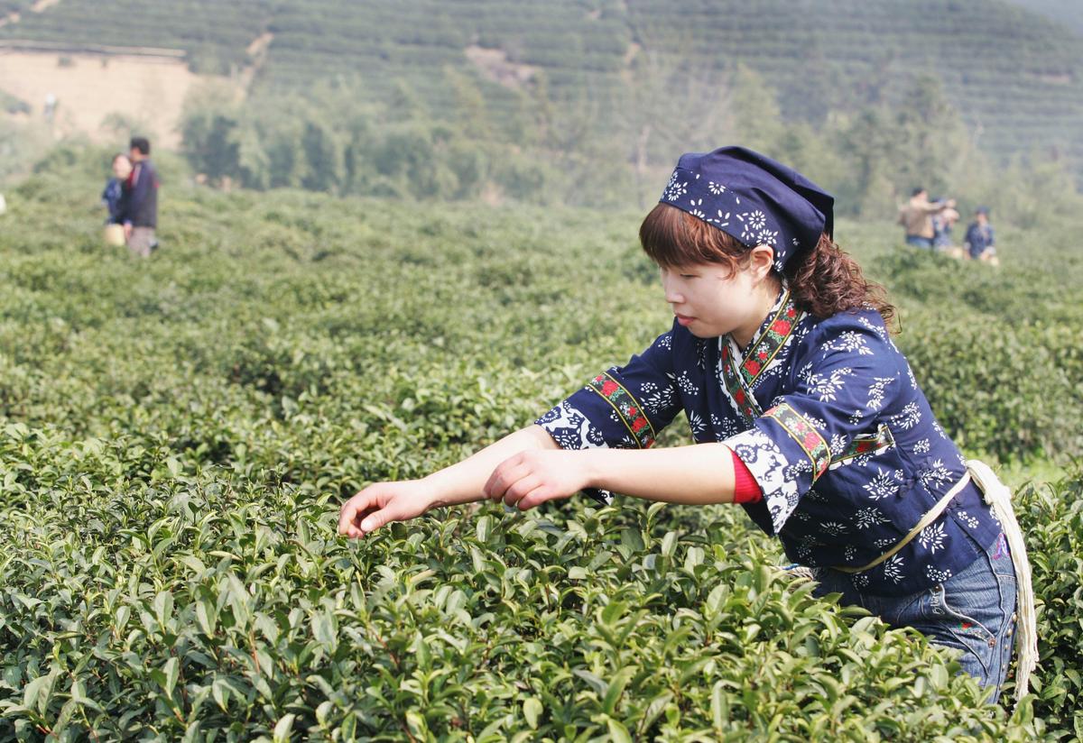 China’s Migrant Workers—at the Heart of Economic Growth