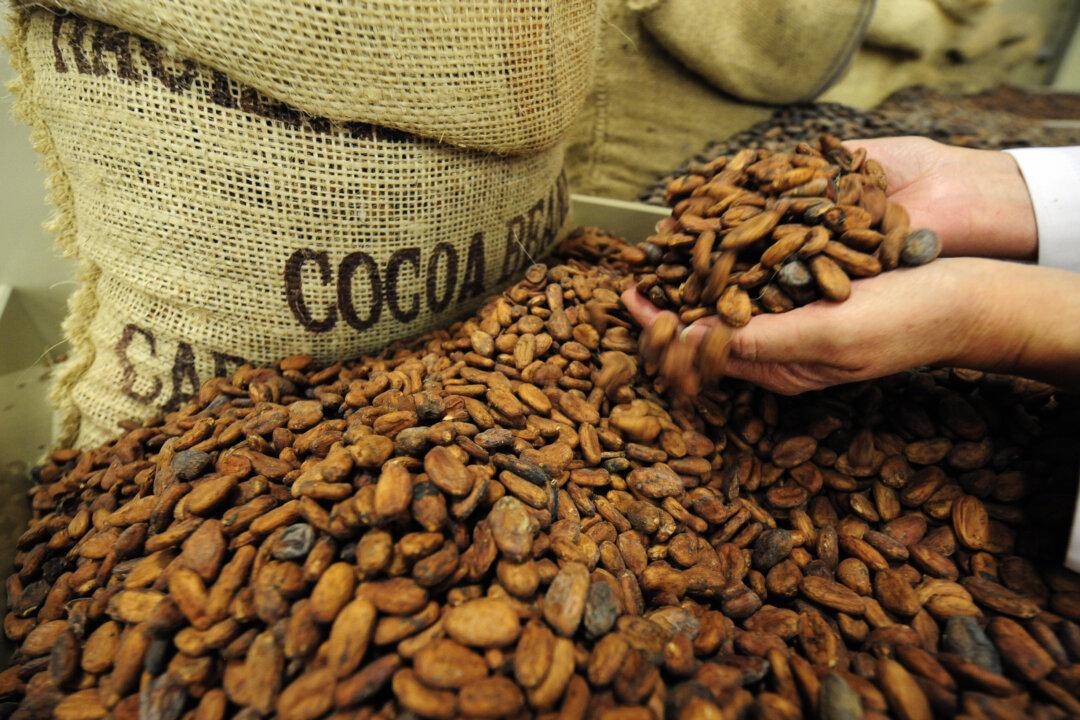 Coffee, Cocoa Brew Massive Gains in 2024
