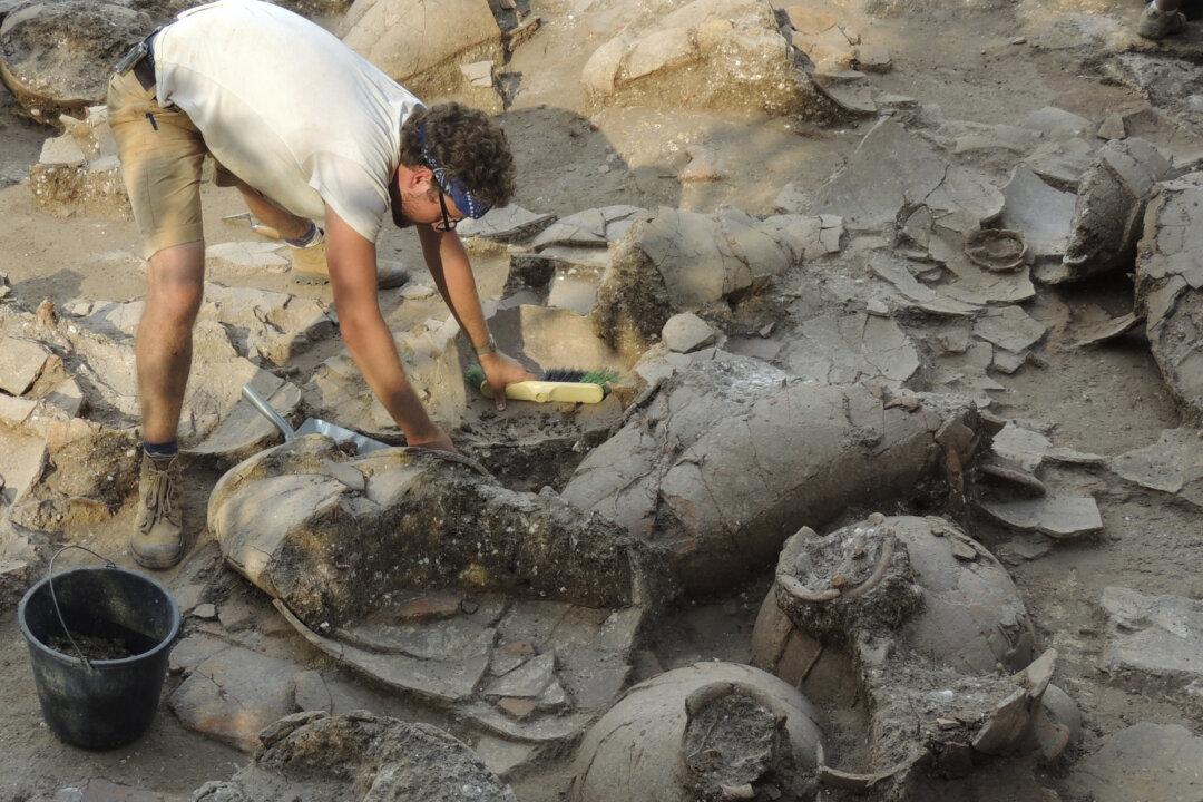 3,700-Year-Old Wine Cellar Discovered in Israel
