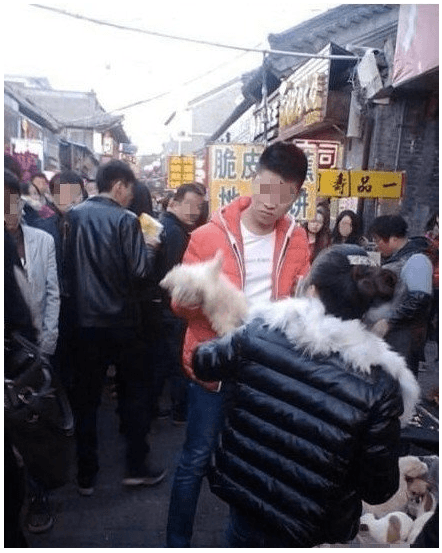 Chinese Man Beats Puppy to Death at Market