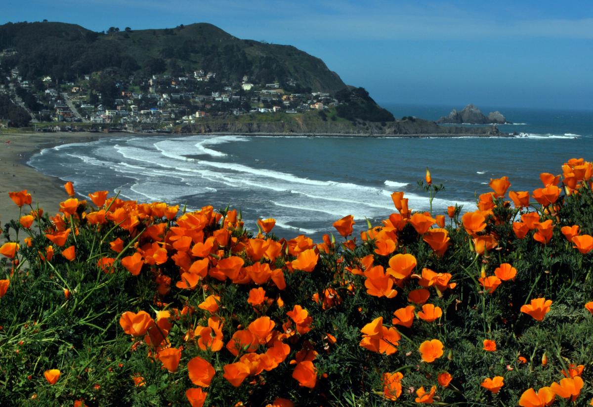 Lost Hiker Survives for 10 Days Eating Berries in Santa Cruz Mountains