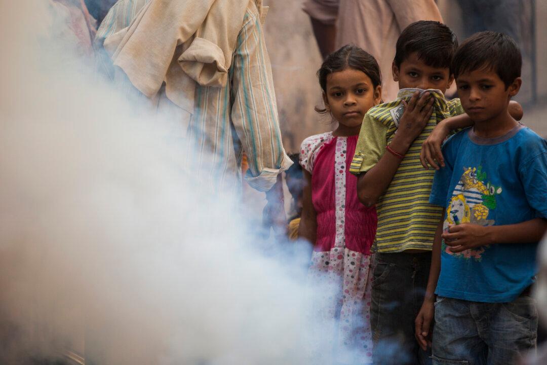 Endangered Species: Your Gut Flora