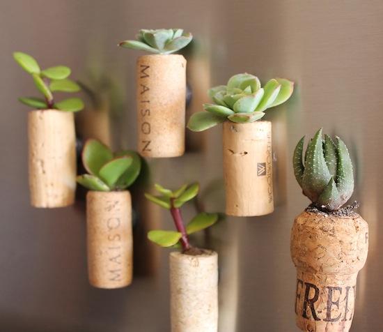 Cool DIY Gift Idea for Plant, Wine Lovers: Plants Grow in Fridge Magnets, Recycled Corks