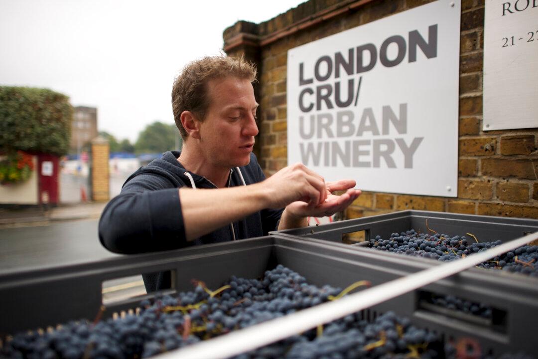 London Cru Brings Winemaking to The Capital