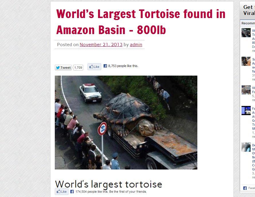 ‘World’s Largest Tortoise’ Weighing 800 Pounds Article is a Hoax