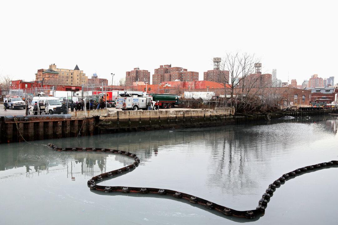 Gowanus Community to Set Development Goals