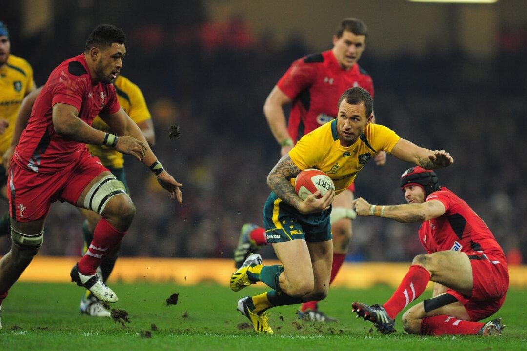 Wallabies and Springboks Snap at All Blacks Heels