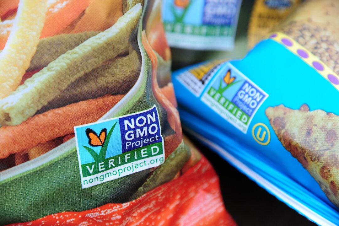 Top 20 Stories of 2013 – No. 10: Landmark Decisions on GMOs Ahead