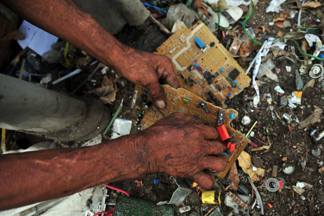 Hope for a Greener Future in 2014