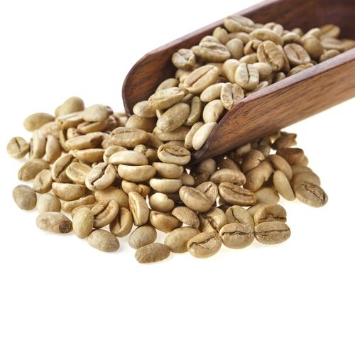 Coffee Roasting, Grinding, and Brewing at the Push of a Button