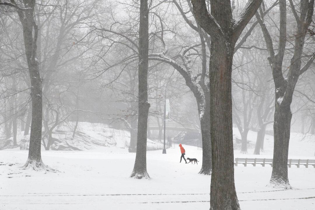 New York Snowstorm: MTA Cautions Passengers to Stay Home on Tuesday