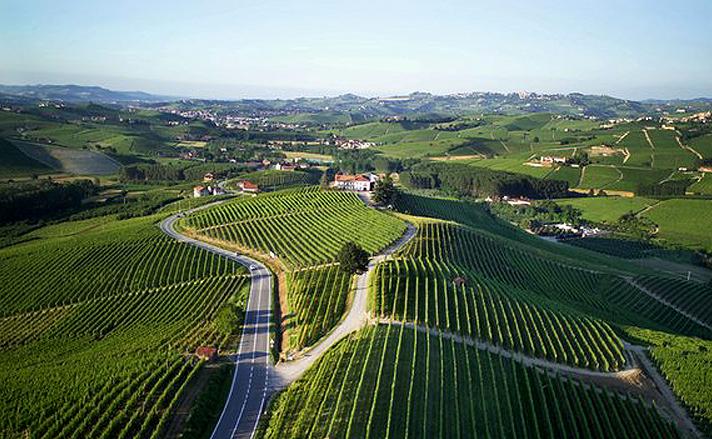 A Wine of Kings: Barolo Cannubi