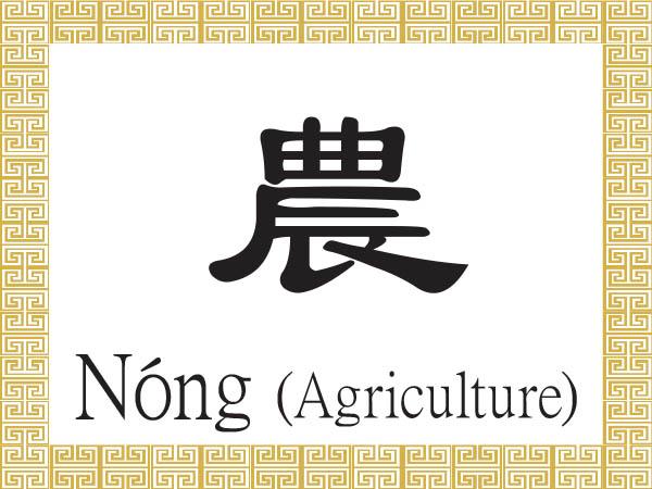 Chinese Character for Agriculture: Nóng(農)