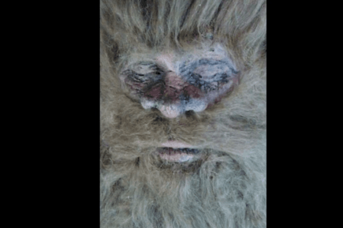 Rick Dyer, Alleged Bigfoot Killer: ‘I am the best Bigfoot Hunter in the World’