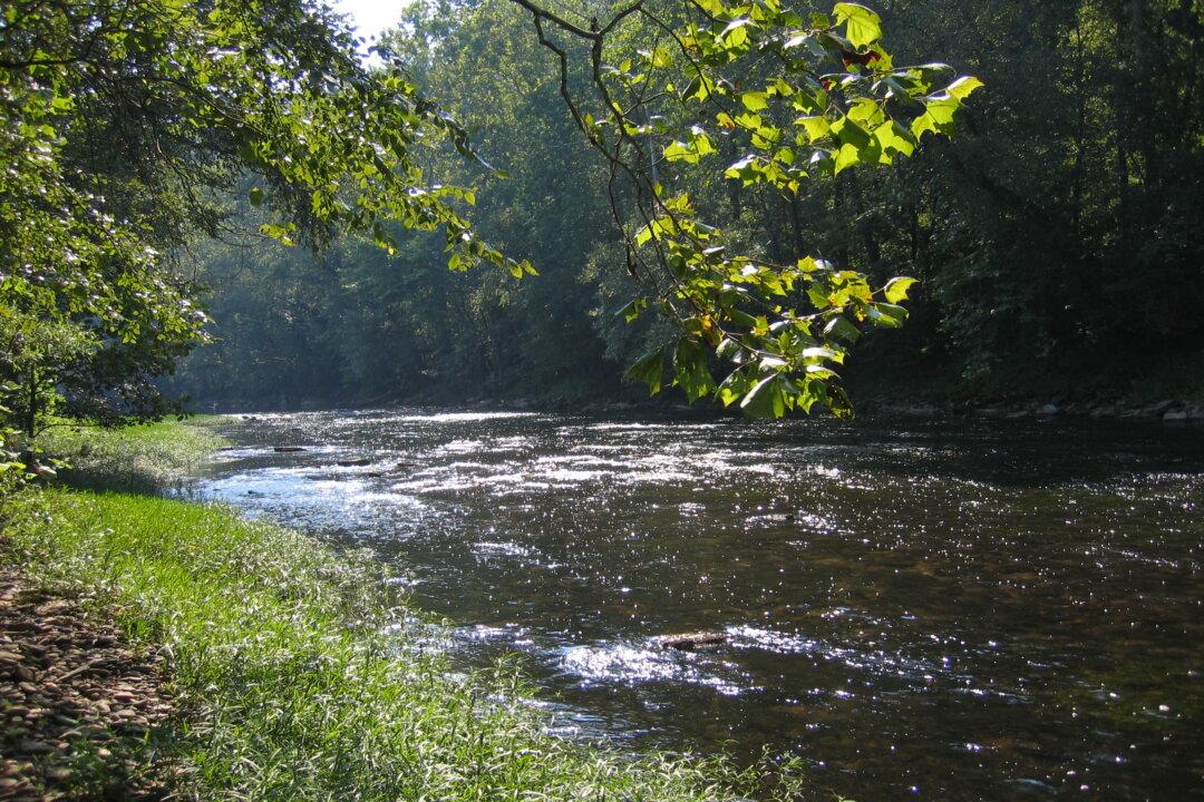 Elk River Chemical Leak in West Virginia: 8 Counties Under State of Emergency