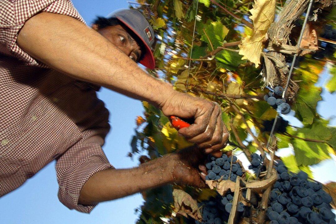 Canadian Farmers Lose Out as Plants Keep Closing