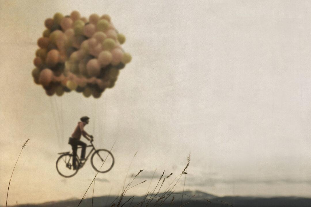 Enter the Playful World of Joel Robinson’s Photography