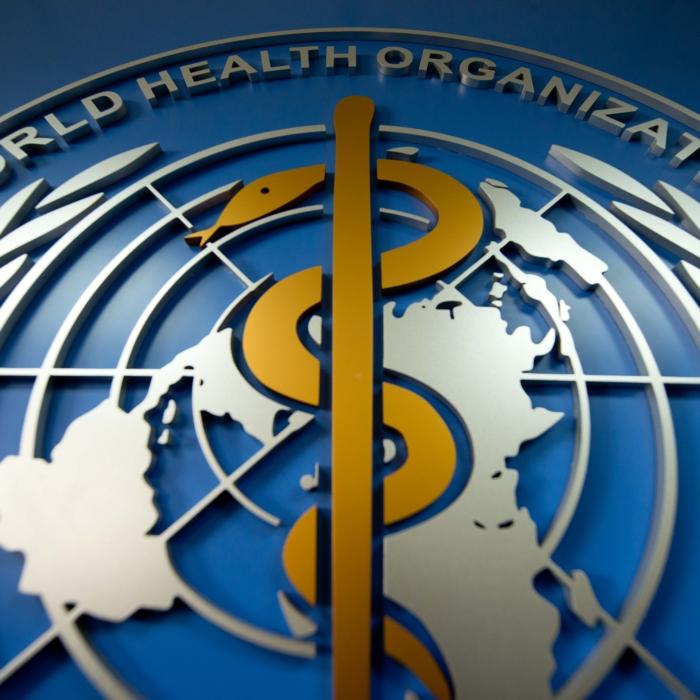 Peer Claims Pandemic Treaty Could Breach WHO’s Own Guidelines